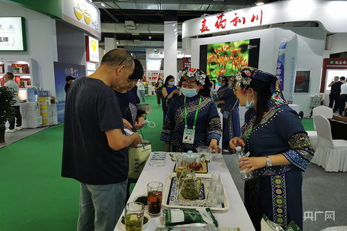 服务乡村振兴，第六届世界硒都（恩施）硒产品博览交易会盛大开幕